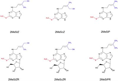 The Origins and Roles of Methylthiolated Cytokinins: Evidence From Among Life Kingdoms